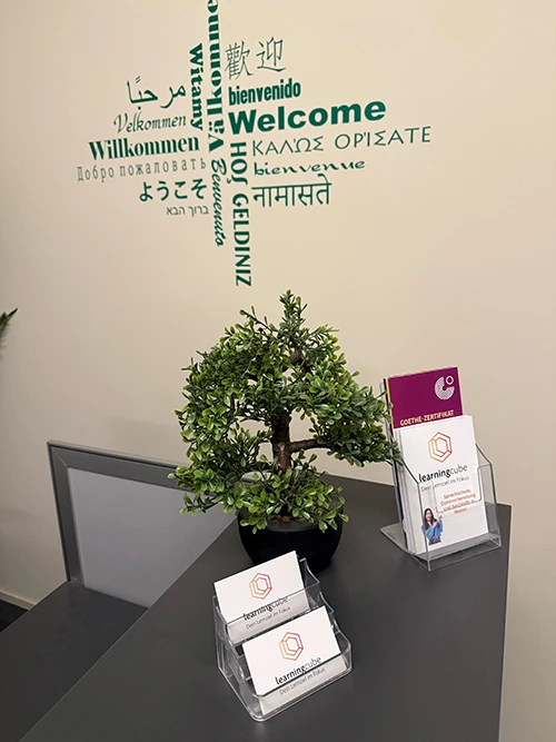 LearningCube Empfang